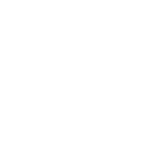 Auto Riparate<br />
All'Anno